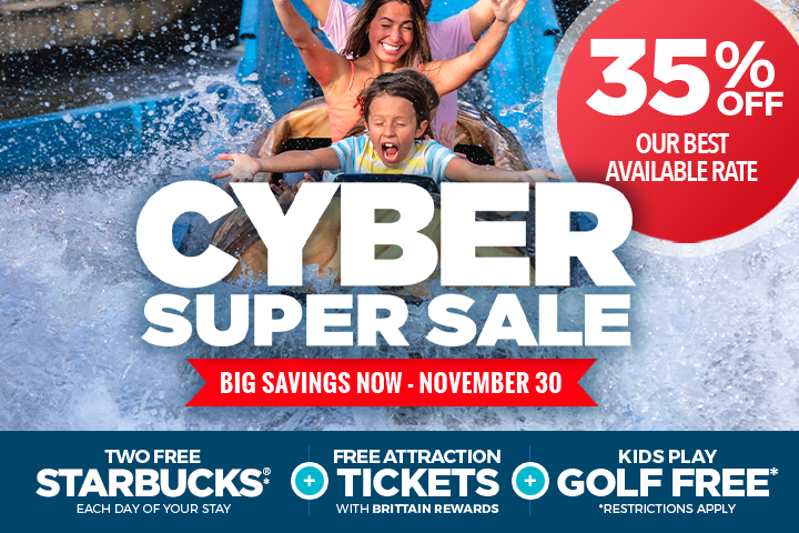 Cyber Super Sale - 35% OFF