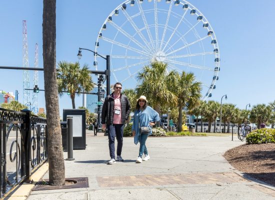 FAM_Skywheel (18)